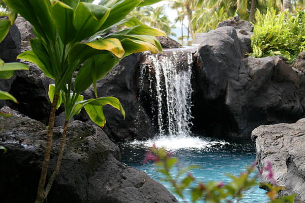 Beautiful Small Waterfall Surrounded by Lush Tropical Landscape stock photo