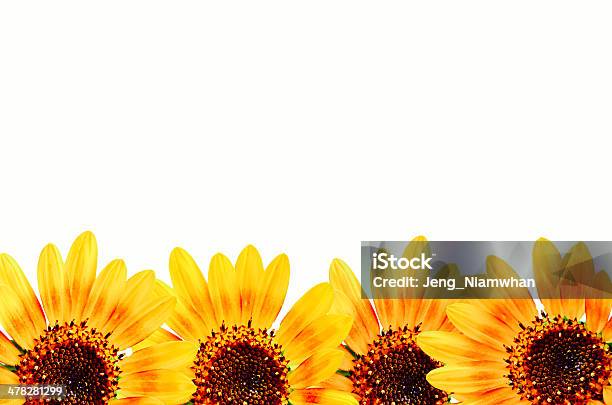 Sonnenblume Frame Stockfoto und mehr Bilder von Abstrakt - Abstrakt, Blatt - Pflanzenbestandteile, Blume