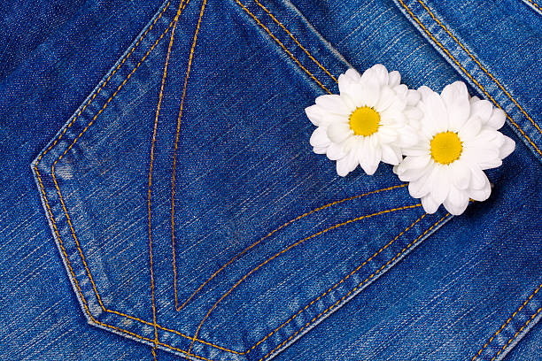 istock camomile in jeans pocket 478281344