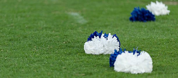 Pompon su Campo in erba - foto stock