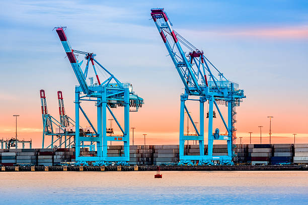 grues dans de newark - new jersey industrial district newark harbor photos et images de collection