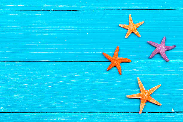 istock starfish on painted rustic wooden boards 478284360