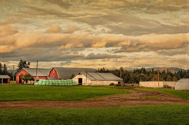 Farm in the Cowichan Valley Lake Cowichan, Duncan, British Columbia, Rural Scene, Vancouver Island, Canada, Outdoors, Nature, Agriculture, Scenics, Non-Urban Scene, Farm duncan british columbia stock pictures, royalty-free photos & images