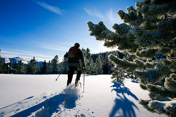 Snowshoe Adventure A woman enjoys a snowshoe adventure in Alberta, Canada. kananaskis country stock pictures, royalty-free photos & images