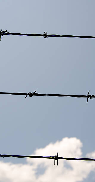 istock Three Strands of Barbed Wire Against a Blue Sky 478287308