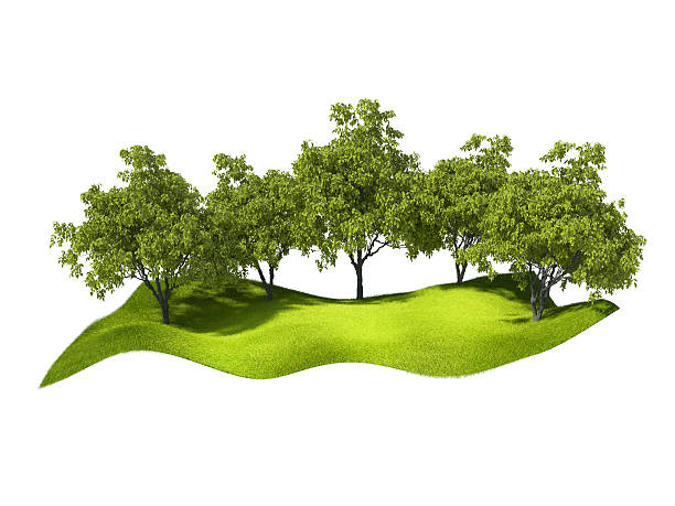 istock island  in the air 478287614