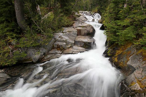 istock Paradise River at Mount Rainier National Park 478289660