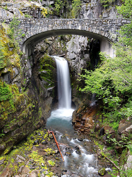 istock Christine Falls at Mount Rainier 478289836