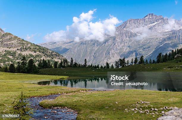 Lago Alpino - Fotografie stock e altre immagini di Abete - Abete, Acqua, Albero