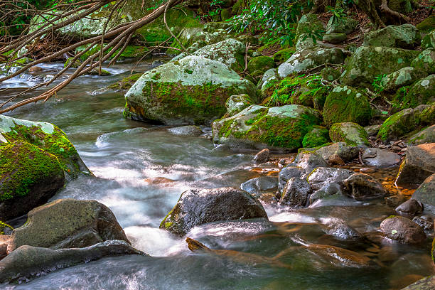 montanha e gosto rocks - blue ridge mountains stream forest waterfall - fotografias e filmes do acervo