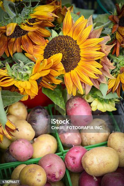 Foto de Farmers Market Produtos e mais fotos de stock de Alimentação Saudável - Alimentação Saudável, Amarelo, Barraca de Mercado