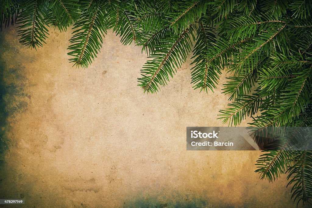 Rami di pino su sfondo di carta - Foto stock royalty-free di Abete