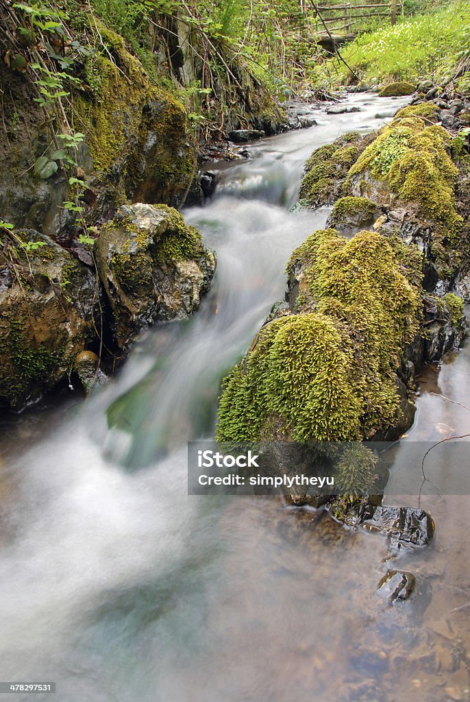 Cachoeira da floresta - Foto de stock de Caindo royalty-free