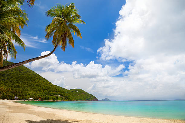 istock Cane Garden Bay, Tortola, British Virgin Islands 478297935