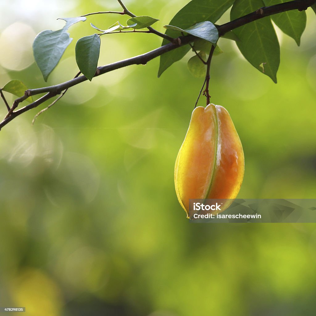 Ripe star apple Ripe star apple with natural green background Asia Stock Photo