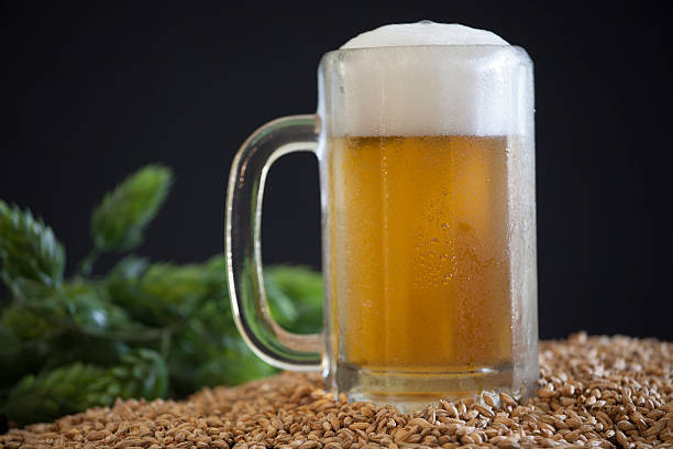 istock Glass of Pilsner 478298221