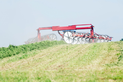 A tractor towed rake on a cut alfalfa (hay) field. The rake brings mowed rows together into a windrow for harvesting or baling. Focus is on the mid-frame hay row, at 100% the machine is soft.