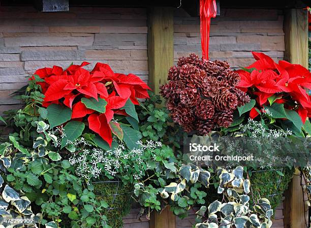 Weihnachtscottage Stockfoto und mehr Bilder von Blumenampel - Blumenampel, Efeu, Weihnachten