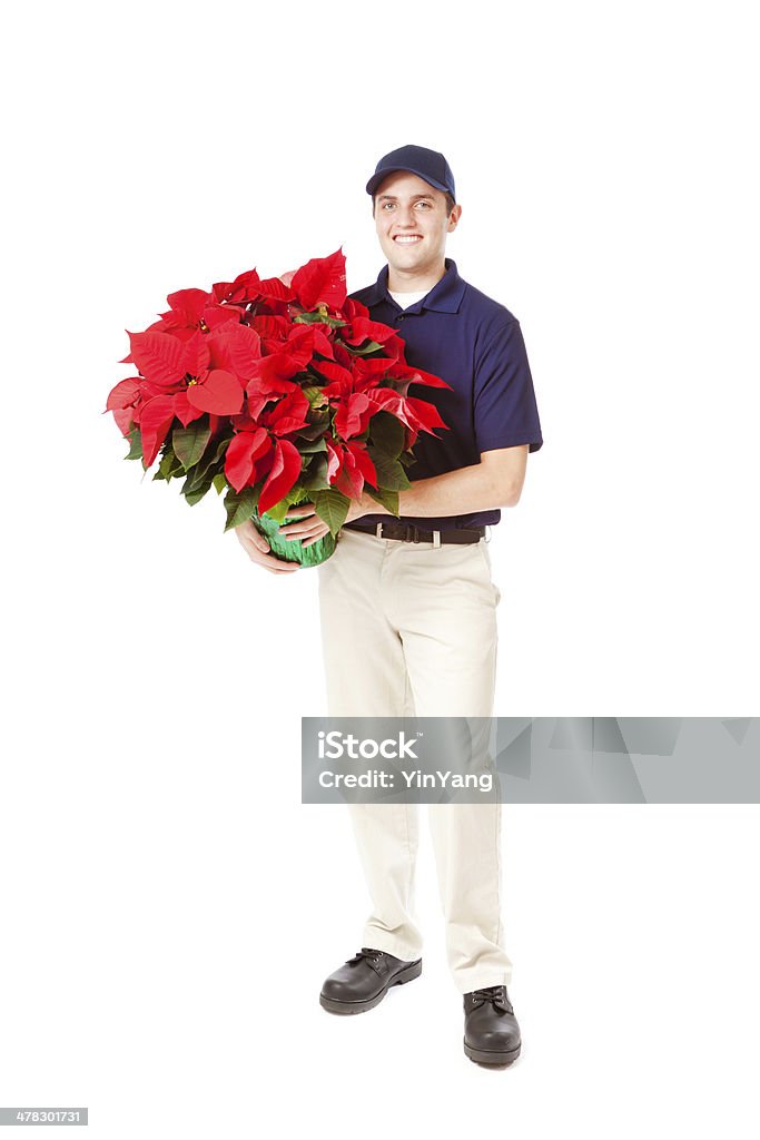 Fleur Poinsettia de Noël livraison homme debout sur blanc - Photo de Adulte libre de droits