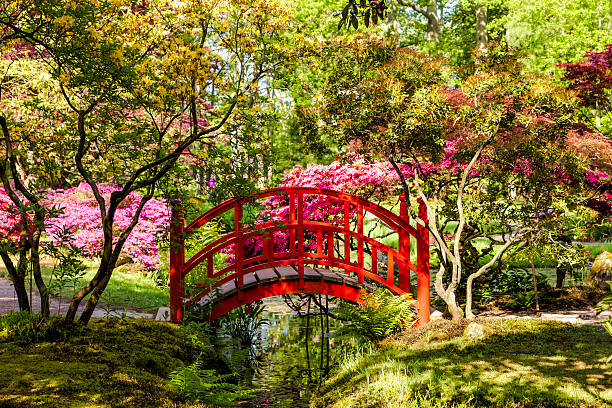 istock Japanese garden in Clingendael Park, Netherlands 478302735