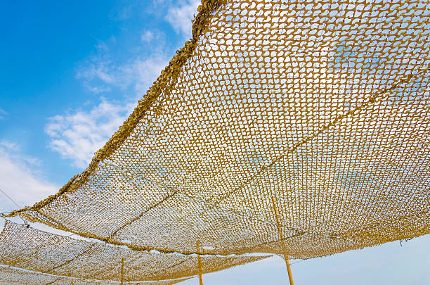 rede de pesca se - fishing net commercial fishing net netting isolated - fotografias e filmes do acervo