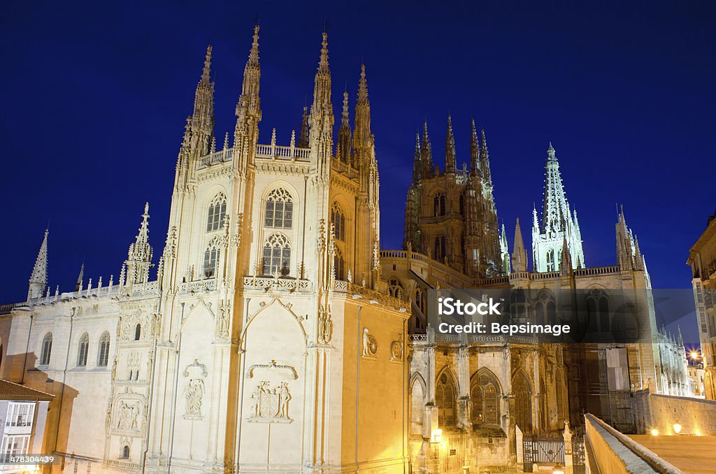 Vista noturna da Catedral de Burgos - Foto de stock de Arquitetura royalty-free