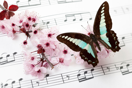 Butterfly and blossoms on a music sheet. Spring from Vivaldi. Year 1726. Copyright free.