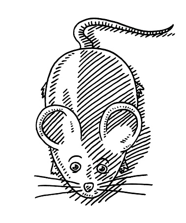 Simple Cartoon Mouse Clip Art Free Download