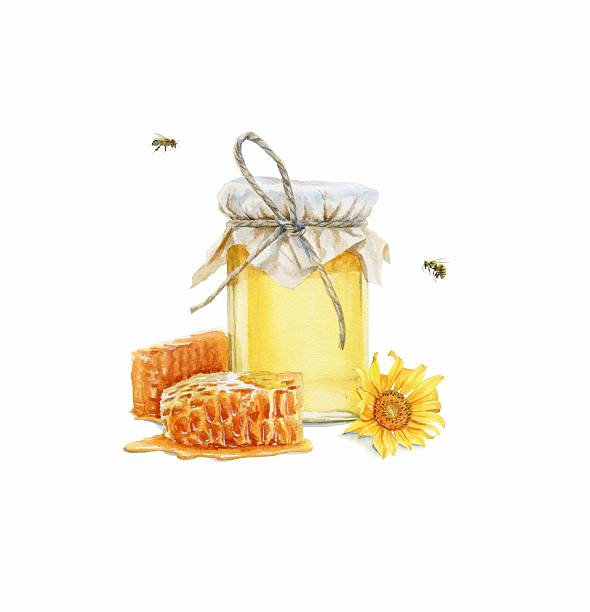miód, pszczół. watercolor ilustracja - bee honey bee single flower honey stock illustrations