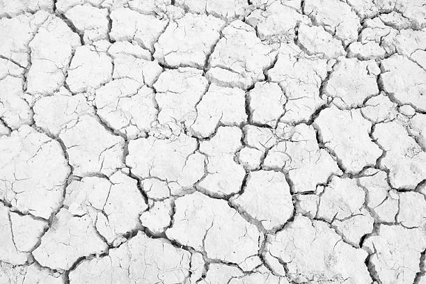 istock Dry land. Cracked ground background. 478306820