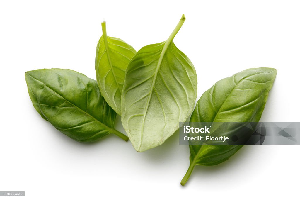 Fresh Herbs: Basil Isolated on White Background More Photos like this here... Basil Stock Photo