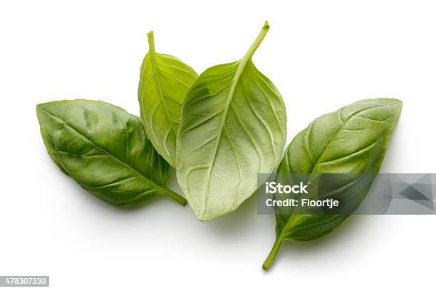 Fresh Herbs Basil Isolated On White Background Stock Photo - Download Image Now - Basil, White Background, Cut Out