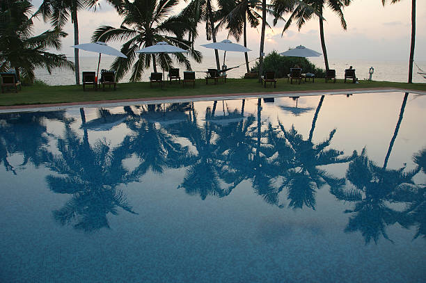 coconut palm trees que refleja en el agua de la piscina - water rainforest frond tropical climate fotografías e imágenes de stock