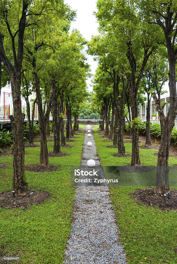 Green garden park along with trees leading line Architecture Stock Photo