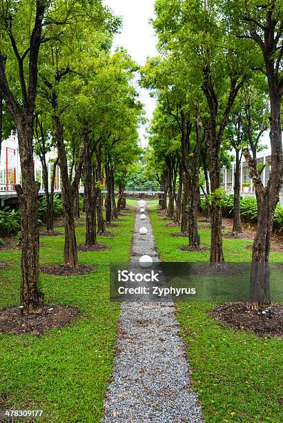 Green Garden Park Along With Trees Leading Line Stock Photo - Download Image Now - Architecture, Autumn, Branch - Plant Part