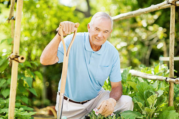 istock Confident Senior Man Holding Gardening Fork While Leaning In Gar 478310038