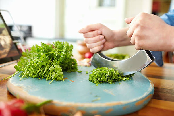 Close-up cropped image of female hands cutting cilantro with mezzaluna knife. Fresh and healthy herb is being chopped on cutting board. Woman is preparing food. She is in domestic kitchen.