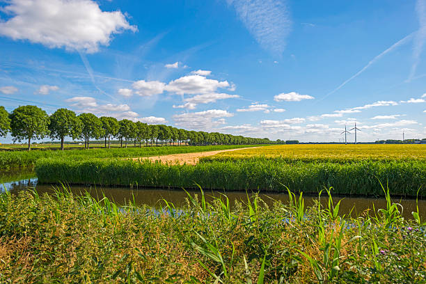 istock Canal through a rural landscape in spring 478311036