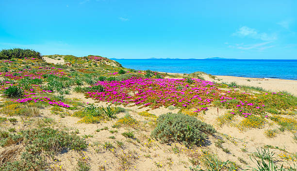 istock shining sun over Platamona coastline 478311246