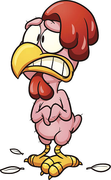 Plucked chicken Plucked cartoon chicken. Vector clip art illustration with simple gradients. All in a single layer. scared chicken cartoon stock illustrations