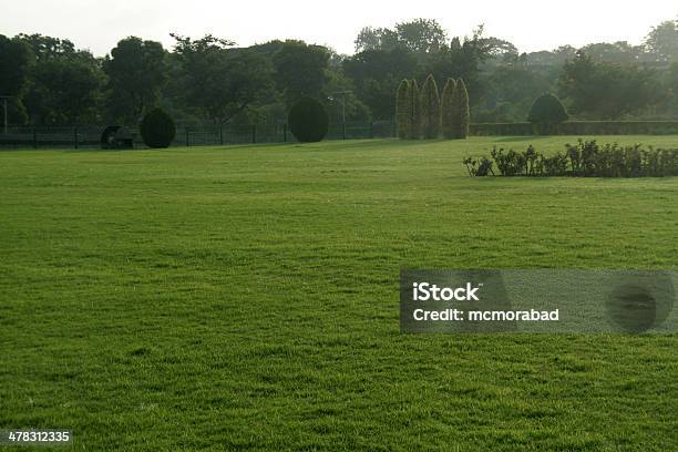 Green Park - zdjęcia stockowe i więcej obrazów Aksamit - Aksamit, Bez ludzi, Ciemny
