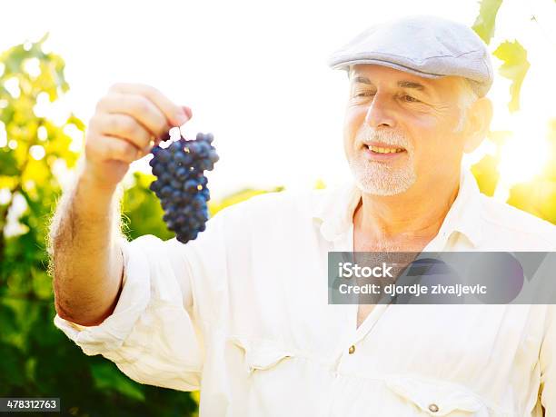 Senior Vinemaker Stock Photo - Download Image Now - Active Seniors, Adult, Adults Only