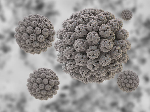 polyomavirus - virus molecular structure healthcare and medicine russian influenza zdjęcia i obrazy z banku zdjęć