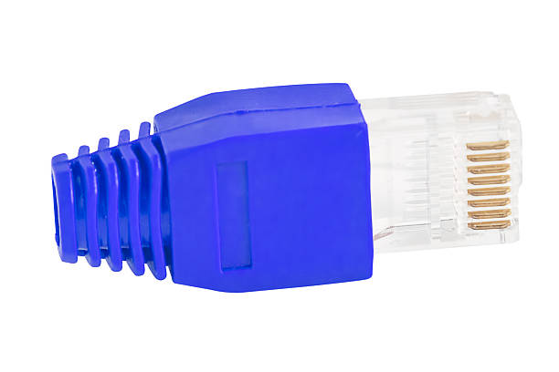 rj45-jedna wtyczka niebieski (widok z boku) - computer cable nobody rj45 network connection plug zdjęcia i obrazy z banku zdjęć