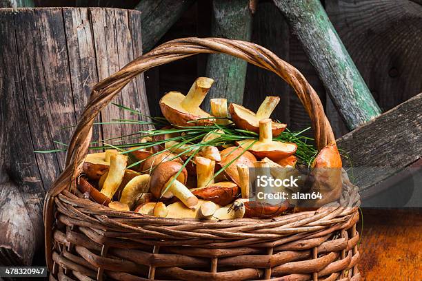 Photo libre de droit de Nature Morte De Jaune Boletus Champignons banque d'images et plus d'images libres de droit de Aliment - Aliment, Arbre, Automne