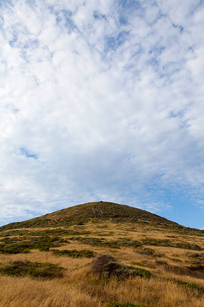 istock Marin Headlands, Calfornia 478322989