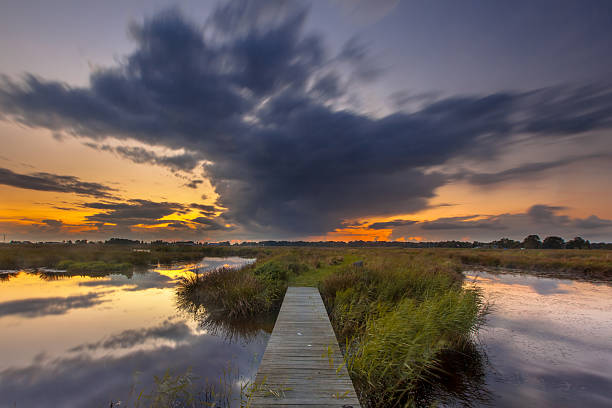 istock long exposure Footbridge in wetland 478323654