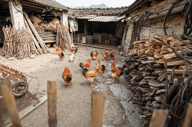 farmhouse in rural China