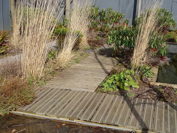 Photo showing a pathway made of small lengths of timber decking, laid sideways.  Since decking can become extremely slippery in wet weather, this part features some inset strips of anti-slip grip inserts.  Evergreen shrubs and tall grasses have been planted along the path.