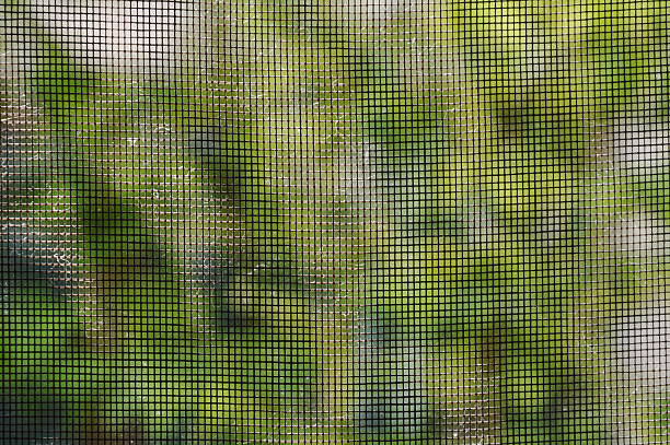istock dust on mosquito net in home 478326316